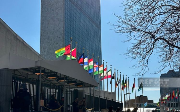 Azərbaycan nümayəndəsi BMT-nin CERF Məsləhətçi Qrupuna seçildi