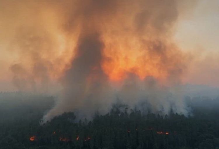 İspaniya və Portuqaliyadakı meşə yanğınları İngiltərənin cənubuna çatıb