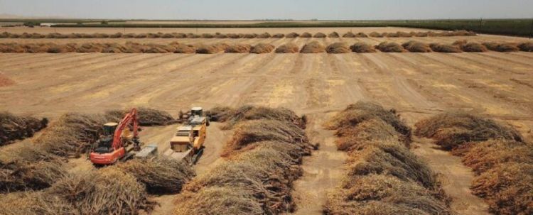 Yer kürəsində şirin su ehtiyatları sürətlə azalır - Alimlərdən xəbərdarlıq