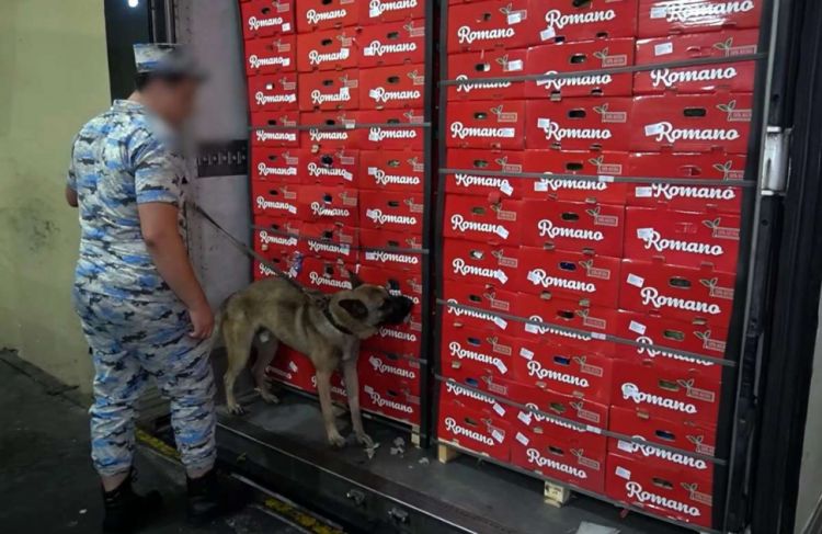 Azərbaycan gömrükçüləri 30 kiloqramdan artıq narkotik vasitə aşkar ediblər<font color=red> - FOTOLAR</font>