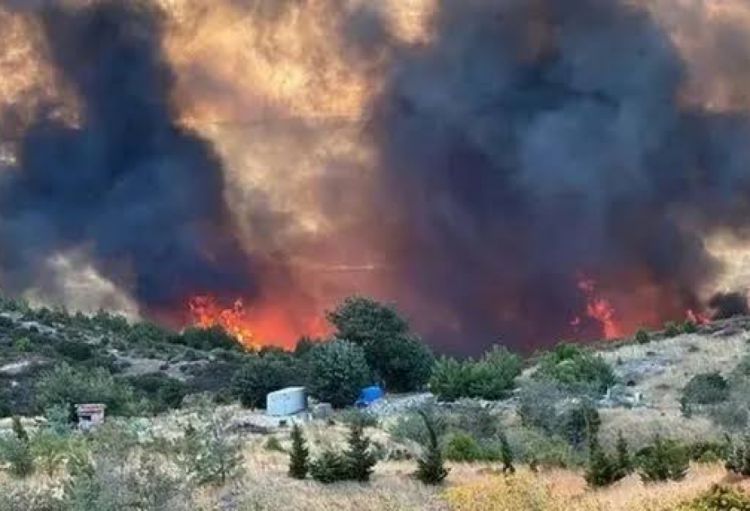 Çanaqqaladakı meşə yanğını nəzarət altına alınıb