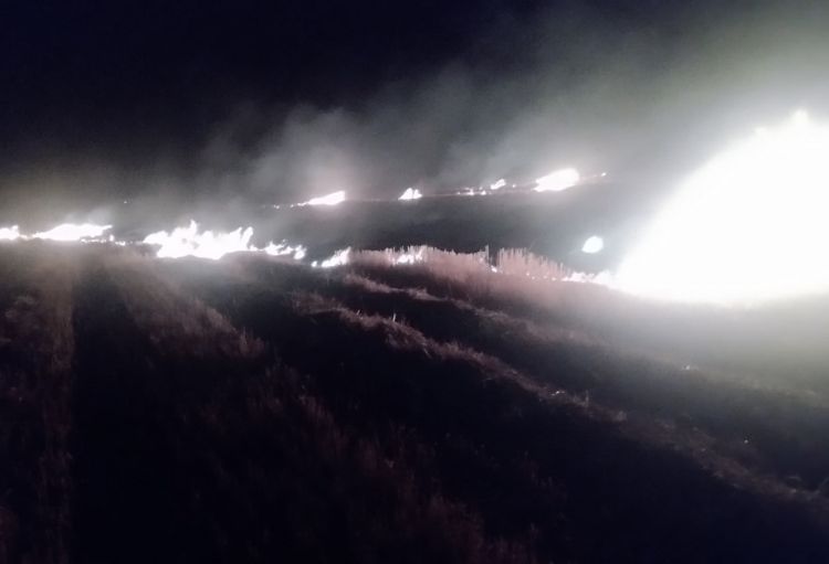 Ağdamda yanğına səbəb olan şəxs saxlanılıb