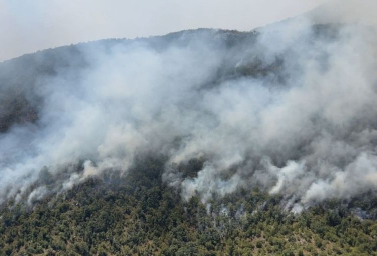 Monteneqroda meşə yanğınları genişlənir