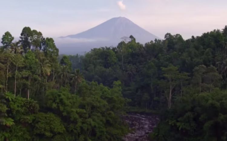 İndoneziyanın şərqində Semeru vulkanı 800 metr hündürlüyünə kül püskürüb