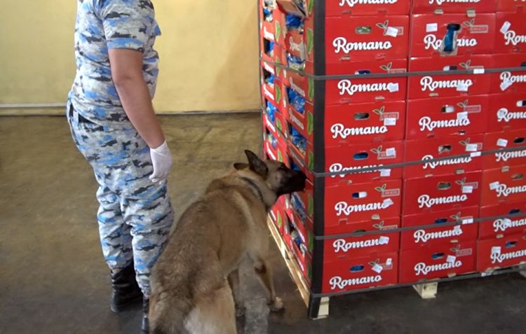 “Kahı” yükü aparan nəqliyyat vasitəsindən külli miqdarda narkotik vasitə aşkarlanıb<font color=red> - FOTOLAR</font>