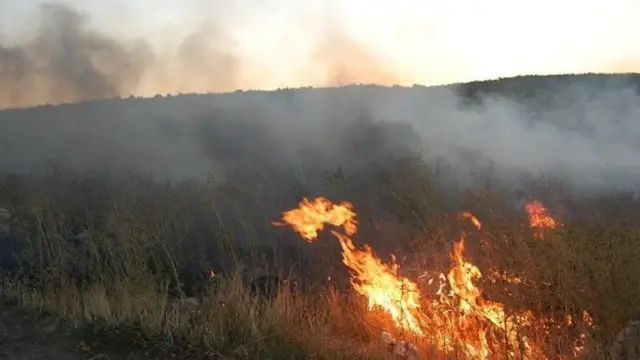 Ağdərədə daha bir yanğın başlayıb
