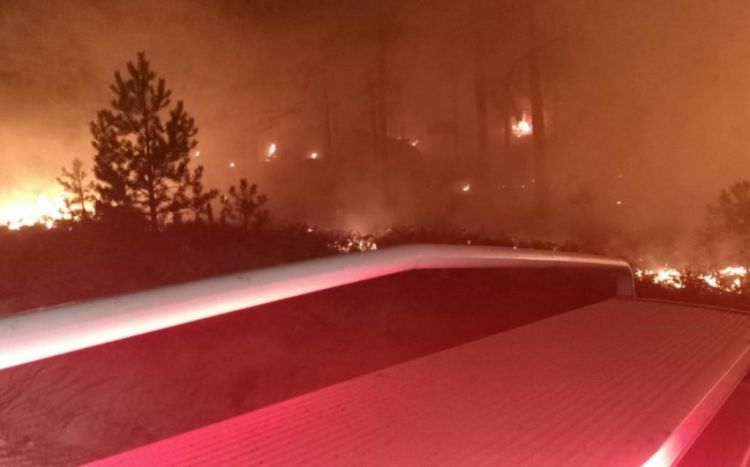 Türkiyənin iki vilayətində meşə yanır