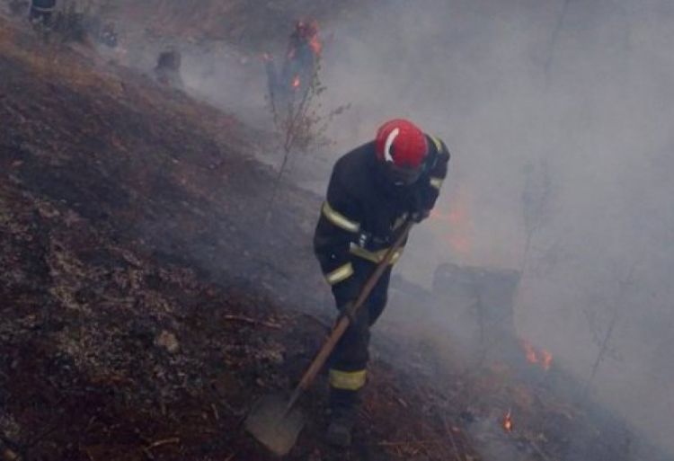 Bosniya və Herseqovinanın Neum şəhəri yaxınlığında meşə yanğını baş verib