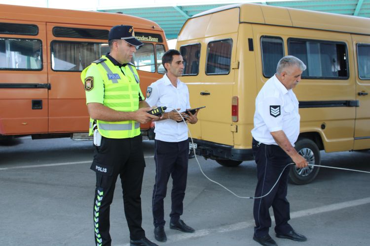 Naxçıvanda növbəti "Təmiz hava" aylığı tədbiri keçirilib<font color=red> - FOTOLAR</font>