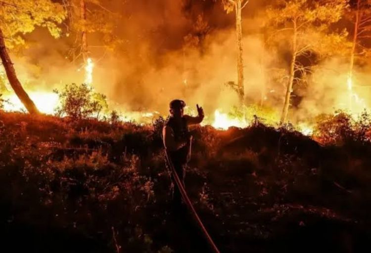Bu il Türkiyənin yaşıllıq ərazilərində 5 mindən çox yanğın baş verib