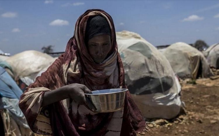 BMT Qəzzadakı vəziyyəti fəlakətli adlandırıb