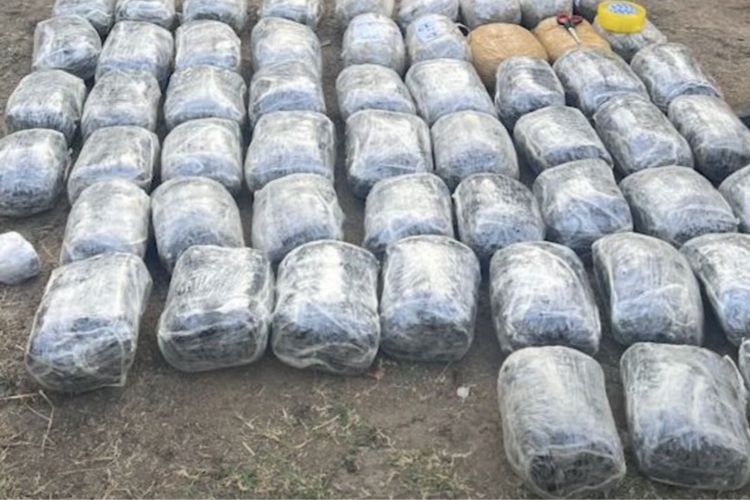 Azərbaycana qaçaqmalçılıq yolu ilə gətirilən 62 kq narkotik aşkarlanıb