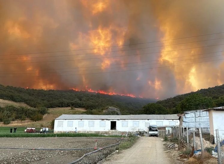 Türkiyənin iki vilayətində meşə yanır Region