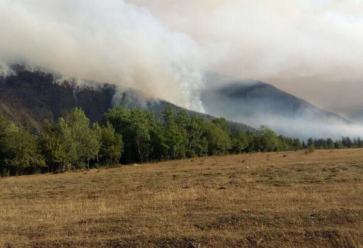 Füzulidə açıq sahədə baş verən yanğın söndürülüb