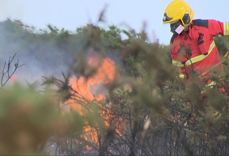 Böyük Britaniyada rekord sayda meşə yanğınları baş verib