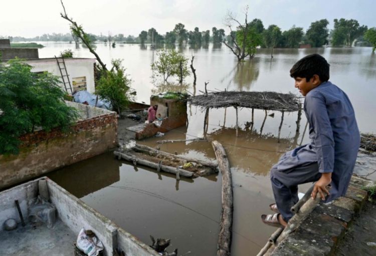 Pakistanda sel və daşqınlar kənd təsərrüfatına böyük ziyan vurub