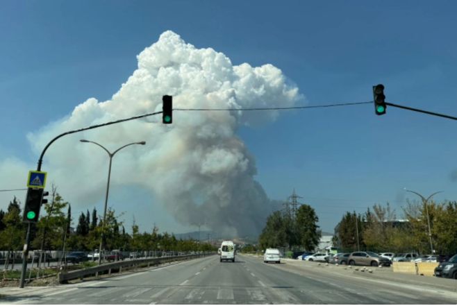 Türkiyənin Bursa şəhərində meşə yanğını başlayıb