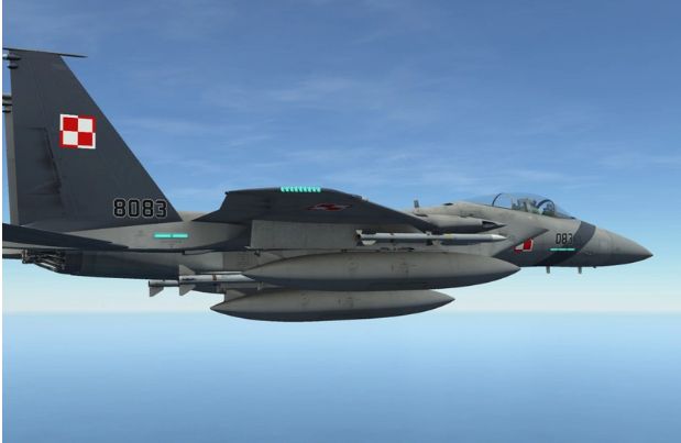 Polşa ordusu ölkənin hava məkanını pozan obyektləri zərərsizləşdirir