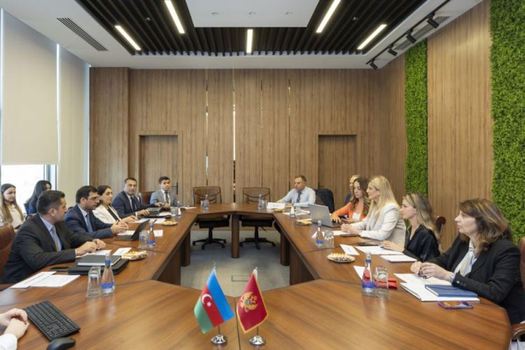 Monteneqronun nümayəndə heyəti ilə pensiya təminatı sahəsində müzakirələr aparılıb<font color=red> - FOTOLAR</font>