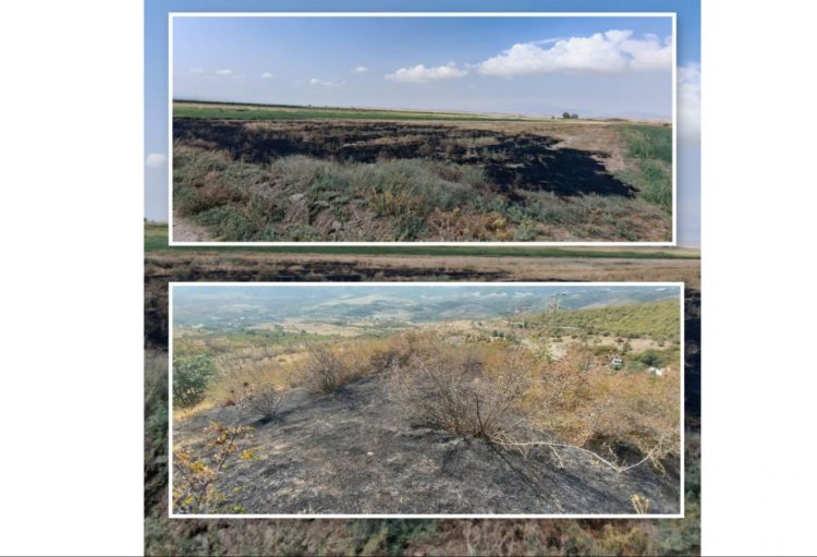 Füzuli və Xocavənddə yanğın törədən şəxslər məsuliyyətə cəlb olunublar