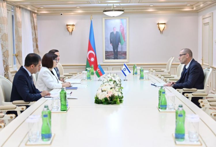 Milli Məclisin sədri İsrailin ölkəmizdə yeni təyin olunmuş səfiri ilə görüşüb