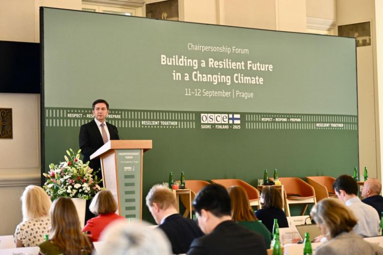 Azərbaycan ilə Çexiya arasında çoxtərəfli platformalar çərçivəsində əməkdaşlıq imkanları müzakirə olunub<font color=red> - FOTOLAR</font>