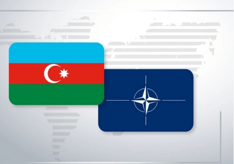 Azərbaycan və NATO arasında tərəfdaşlığın gələcək inkişafı müzakirə olunub