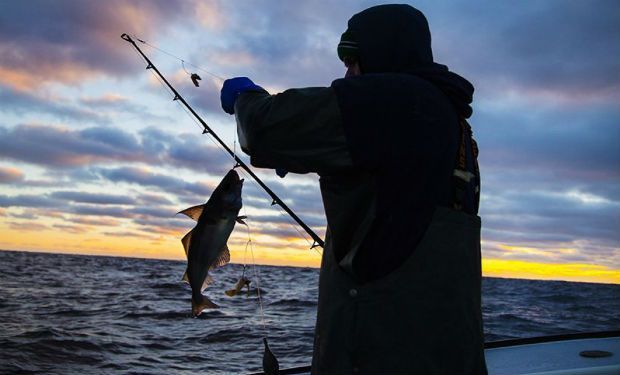 Azərbaycanda qanunsuz balıq ovlayan vətəndaşlar müəyyən olunub