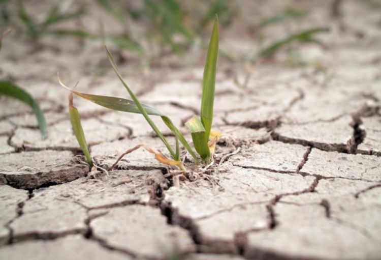 Avropa quraqlıq və daşqınlar səbəbindən 43 milyard avro itirib