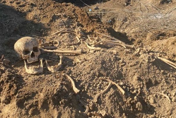 Qubada insan sümükləri tapılıb