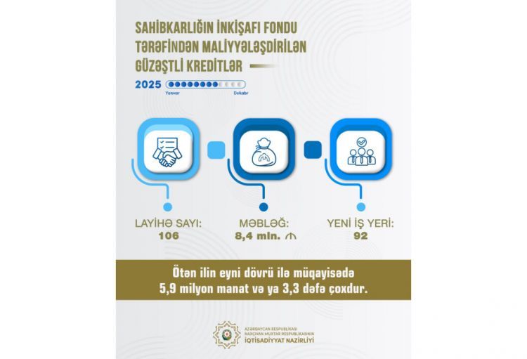 Naxçıvanda sahibkarlara 8,4 milyon manat güzəştli maliyyə dəstəyi göstərilib