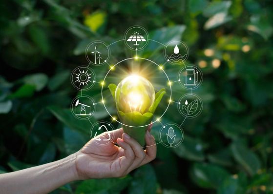 EDB 2022-2024-cü illərdə Azərbaycanda BOEM sektoruna cəlb edilmiş investisiyanın məbləğini açıqlayıb