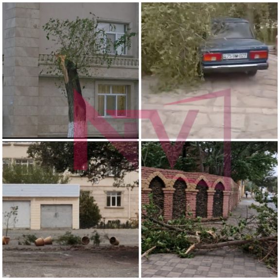 Güclü külək Naxçıvanda fəsadlar törədib