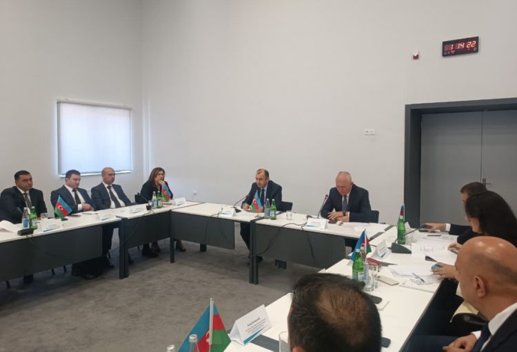 İşğaldan azad olunmuş ərazilərdə yeni milli parklar yaradılır