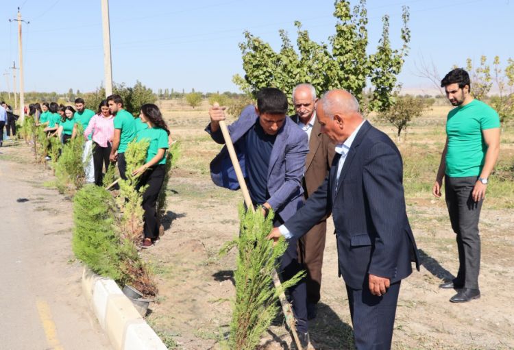 Naxçıvanda şəhidlərin xatirəsinə ağaclar əkilib