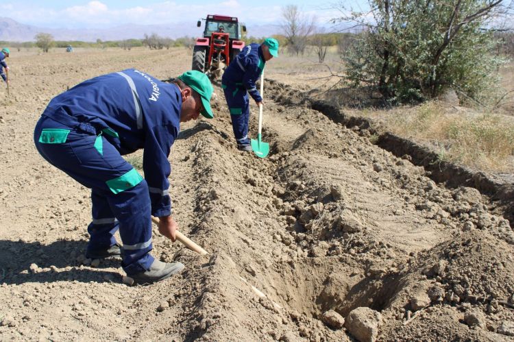 Yeni əkin mövsümündən Pircuvar Dövlət Meşəsinin sahəsi genişləndiriləcək<font color=red> - FOTOLAR</font>