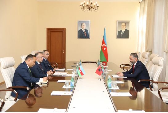 Azərbaycan-Albaniya arasında səhiyyə sahəsində əməkdaşlıq müzakirə olunub