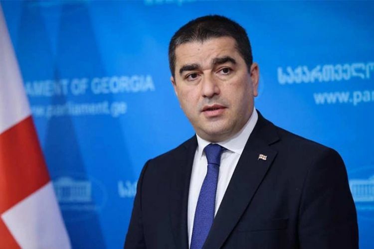 Papuaşvili: Yerli seçkilərdə zorakılıq olarsa, məsuliyyəti Aİ institutları da bölüşəcək