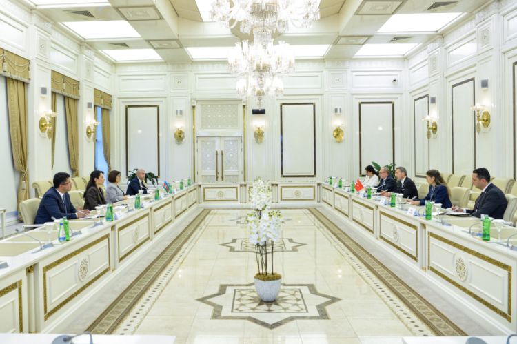 Azərbaycan və Türkiyə arasında insan hüquqları sahəsində əməkdaşlığın gücləndirilməsi məsələləri müzakirə olunub