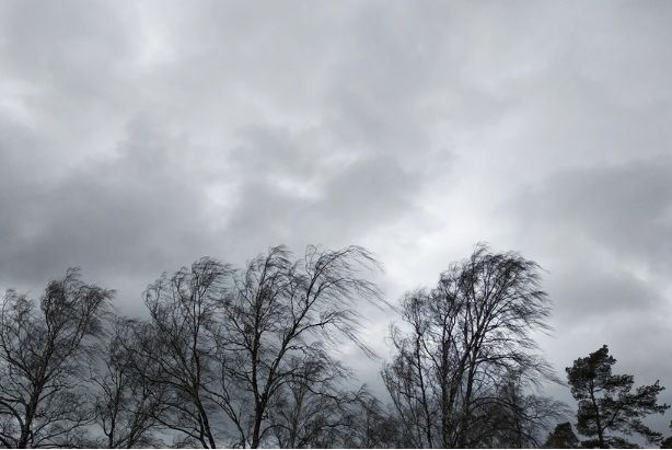 Bakıda külək güclənib, bəzi rayonlarda yağış yağır<font color='red'> - FAKTİKİ HAVA</font>