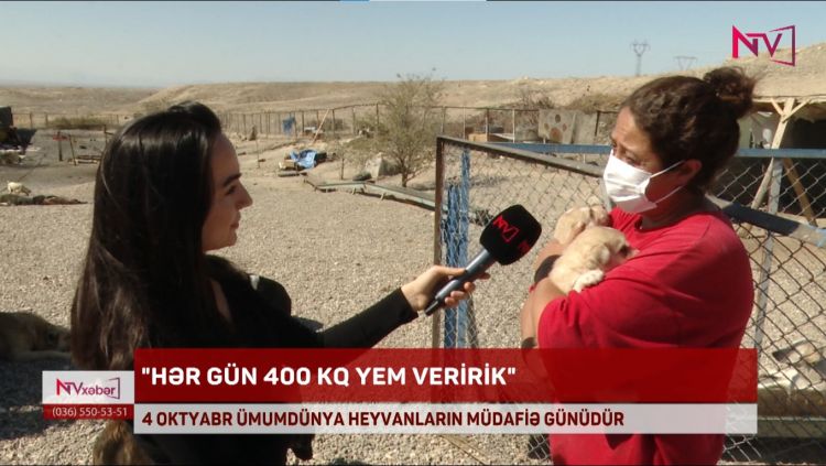 4 oktyabr- Beynəlxalq Heyvanları Müdafiə Günüdür<font color=red> - VİDEO</font>