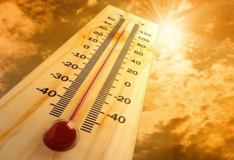 Dünyanın ən iri şəhərlərində son 30 ildə ekstremal isti günlərin sayı 25 faiz artıb