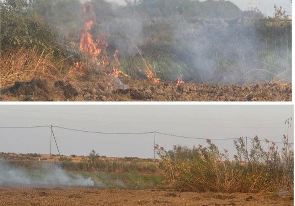 Zərdabda yanğın törədən şəxs məsuliyyətə cəlb olunub