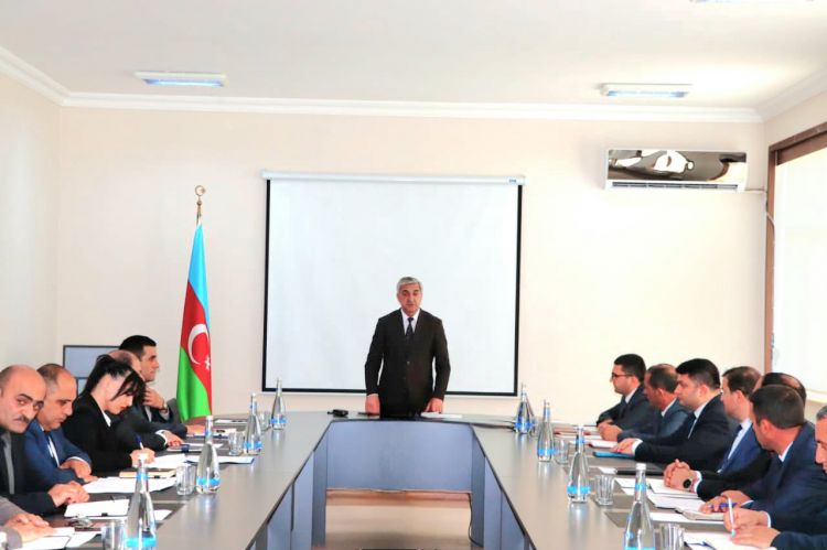 Naxçıvanda 19 min hektardan artıq sahədə taxıl əkilməsi planlaşdırılır<font color=red> - FOTOLAR</font>