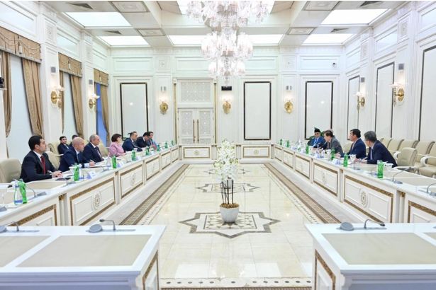 Milli Məclisdə ICAPP nümayəndə heyəti ilə görüş keçirilib<font color=red> - FOTOLAR</font>