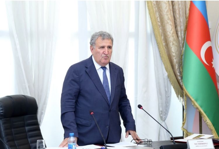 İsa Həbibbəyli: Ramiz Mehdiyevin AMEA-da üzvlüyü ilə bağlı məsələyə baxılır