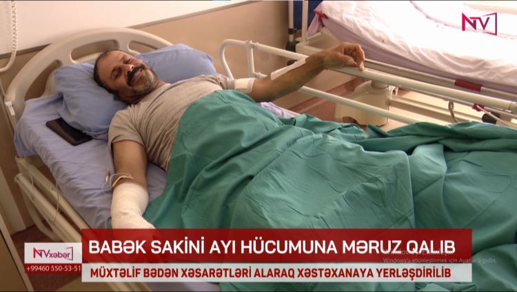 Ayının hücumuna məruz qalan şəxs danışdı: Can şirindir...<font color=red> - VİDEO</font>