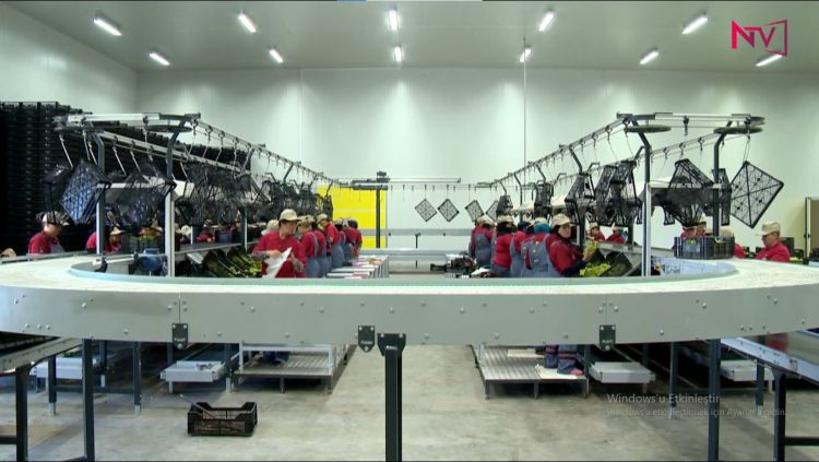 Naxçıvan iqtisadiyyatına investisiya qoyuluşu 33 %-dən çox artıb<font color=red> - VİDEO</font>