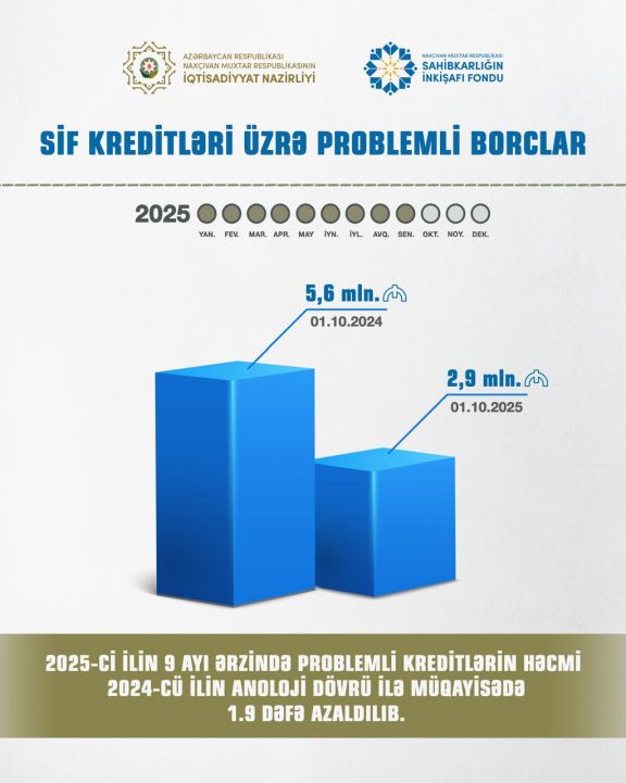 Naxçıvanda Sahibkarlığın İnkişafı Fondu üzrə problemli kreditlər 2 dəfə azalıb
