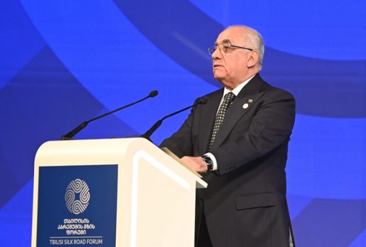 Əli Əsədov: Regionda açılacaq yeni marşrut Orta Dəhlizin mühüm seqmentlərindən birinə çevriləcək